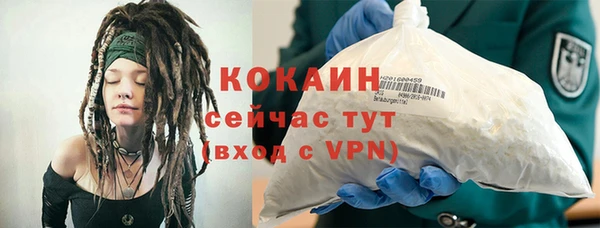 мяу мяу мука Горняк