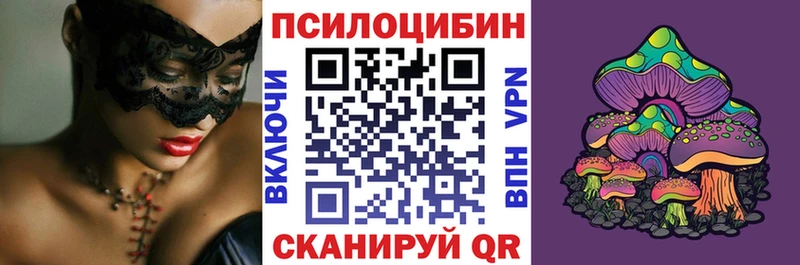 мега зеркало  Мещовск  Псилоцибиновые грибы Psilocybine cubensis  дарнет шоп 